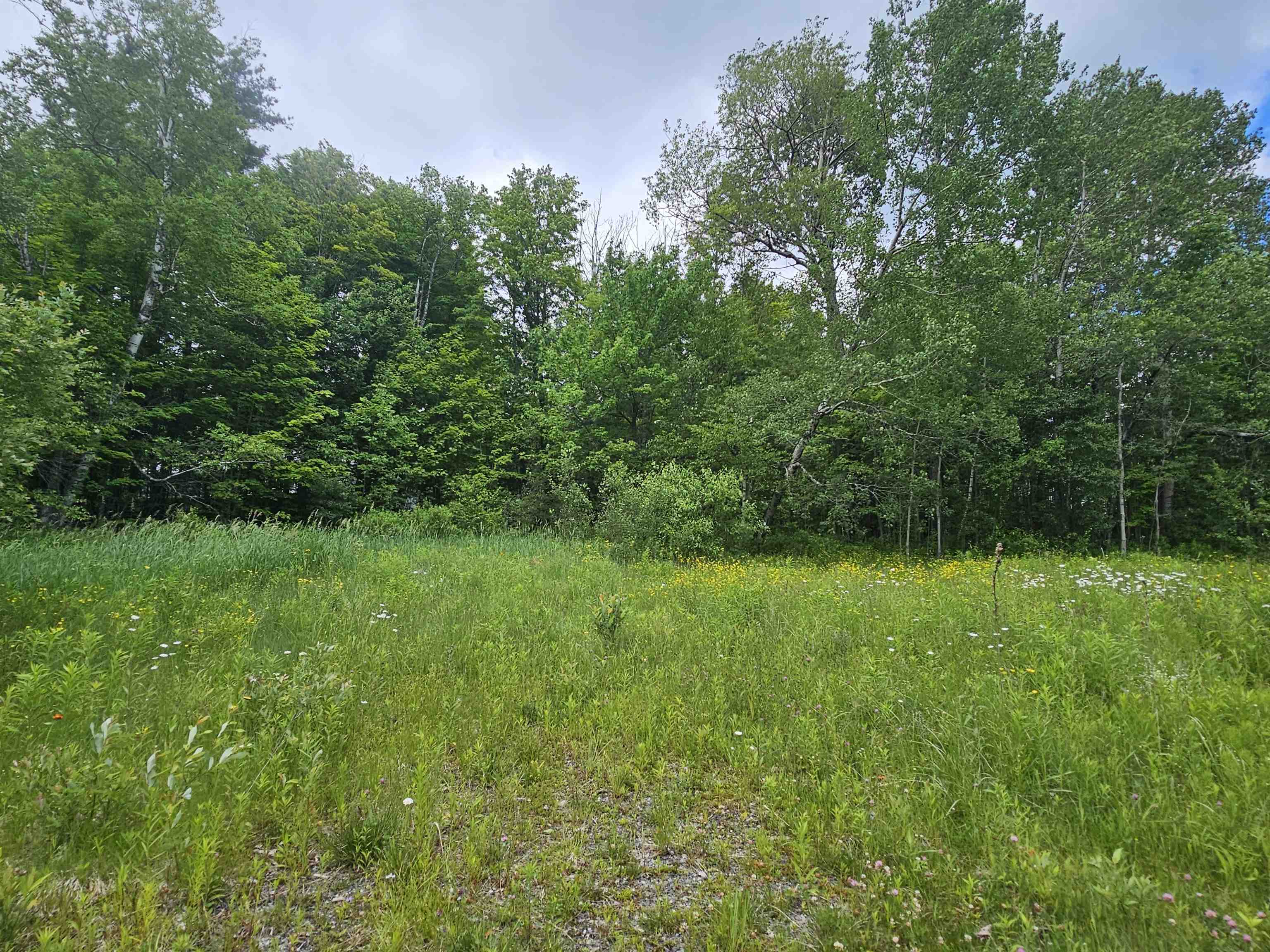 24 Lower Highlands Road West Dover, VT 05356 - Photo 4 of 22