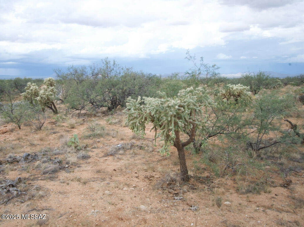 14536 West Diamond Bell Ranch Road, Unit 406 Tucson, AZ 85736 - Photo 4 of 16