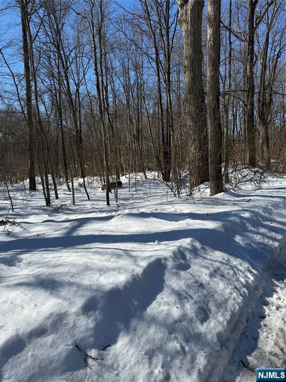 15 Saw Mill Road Butler, NJ 07405 - Photo 3 of 15