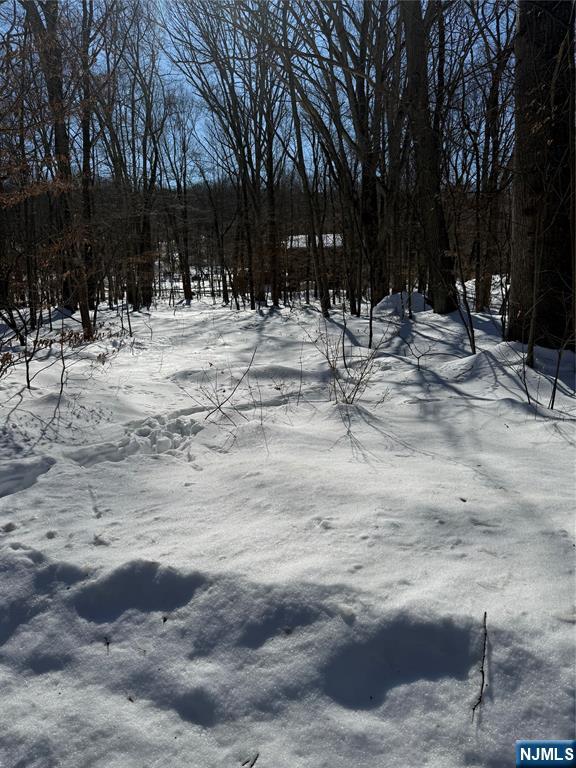 15 Saw Mill Road Butler, NJ 07405 - Photo 4 of 15