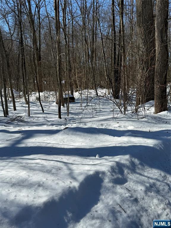 15 Saw Mill Road Butler, NJ 07405 - Photo 9 of 15