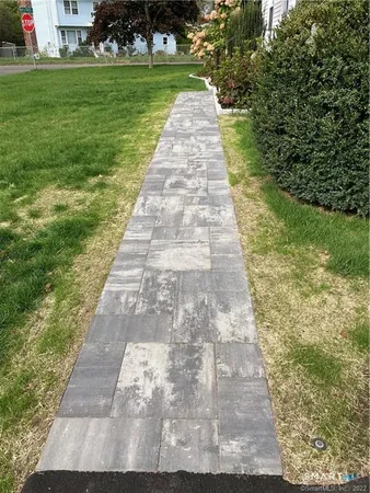 a view of a yard with plants