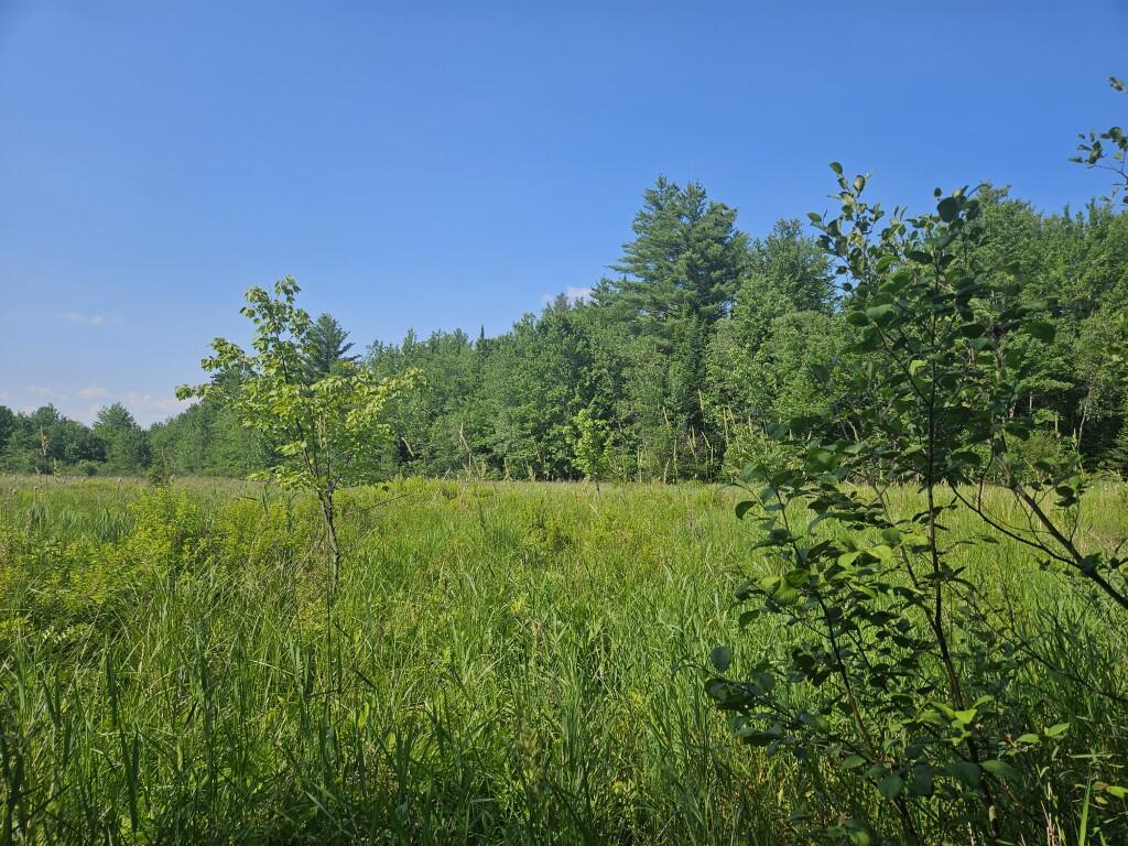 5 Farmington Falls Road New Sharon, ME 04955 - Photo 23 of 39 20260629_154847
