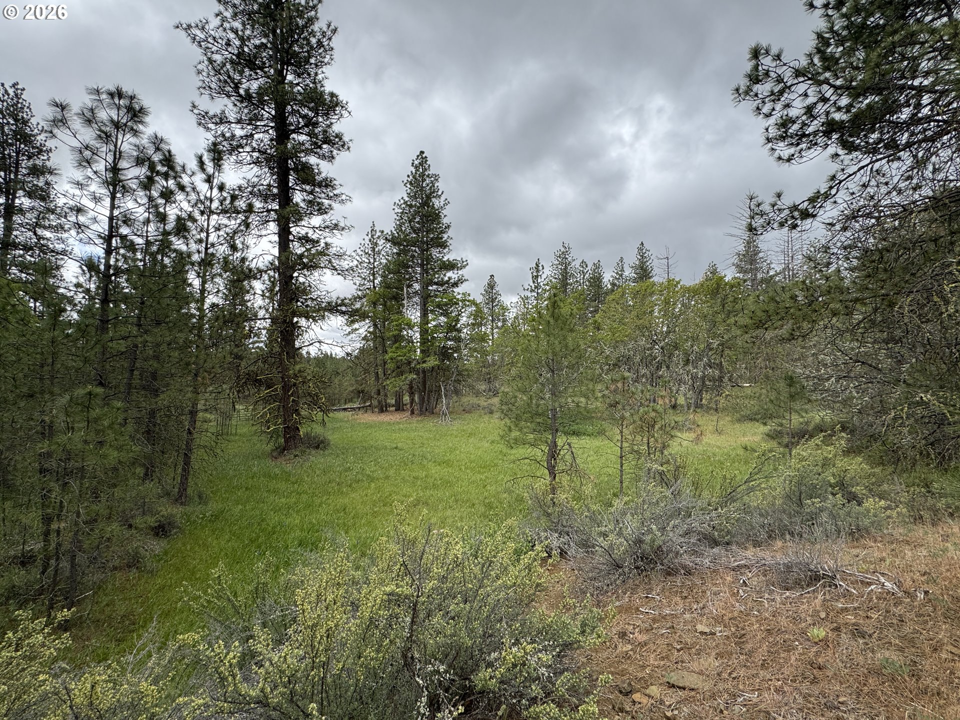 Old Mountain Road Goldendale, WA 98620 - Photo 24 of 41