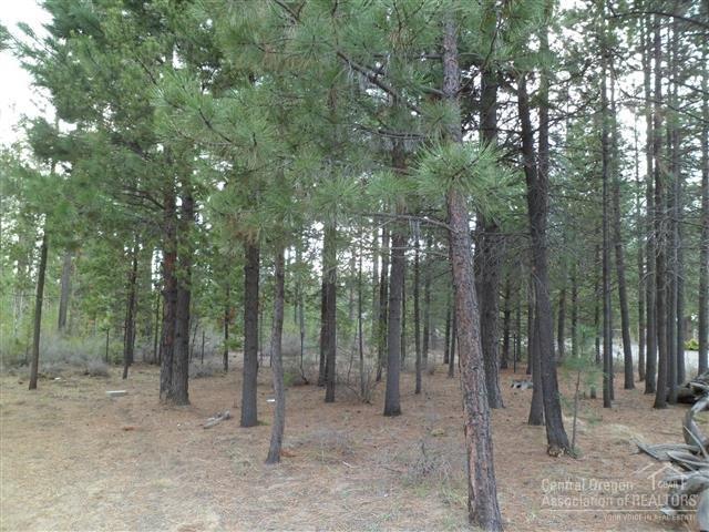 52674 Ammon Road La Pine, OR 97739 - Photo 11 of 24 Additional Photo