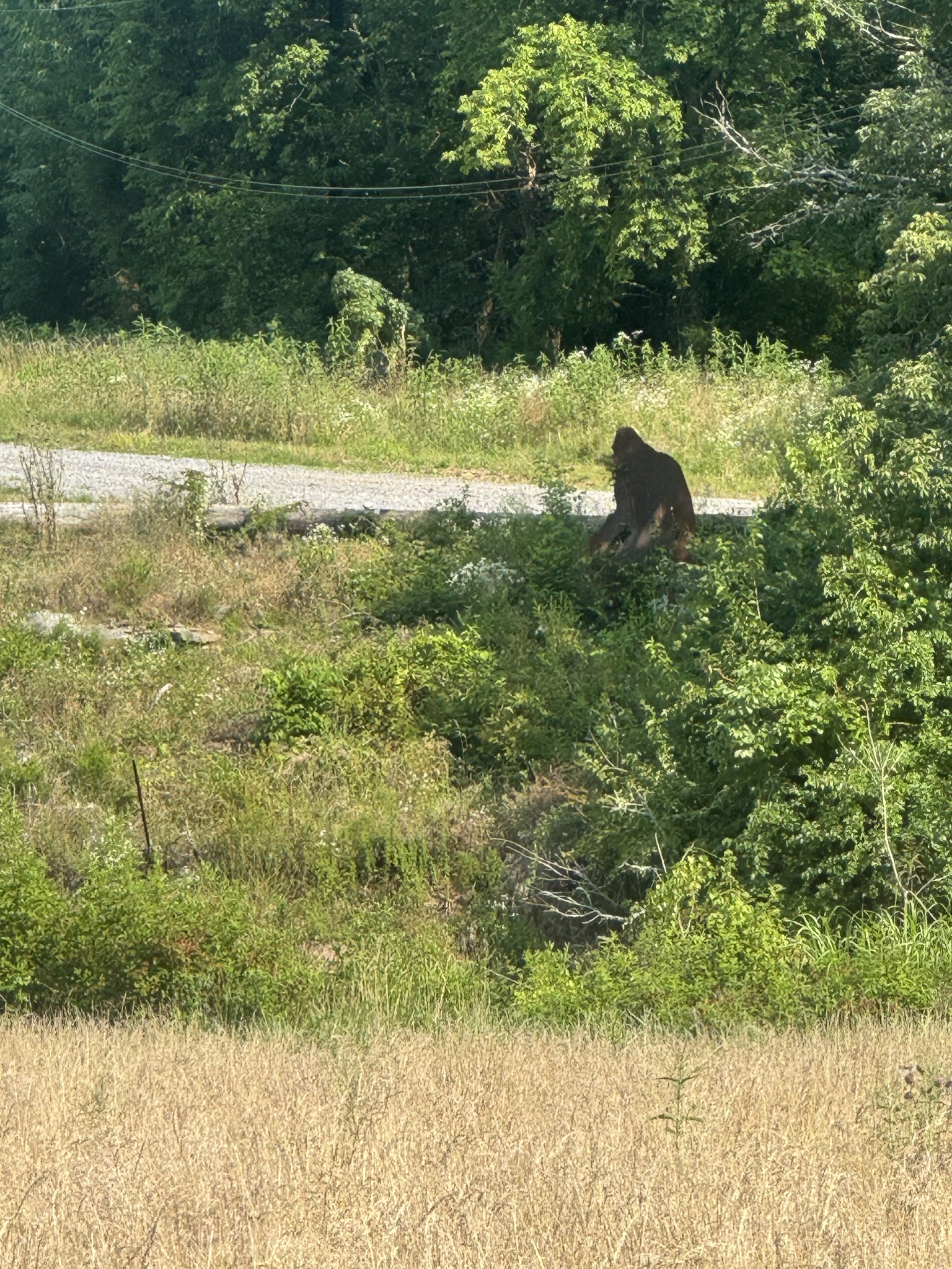 2970 Springplace Road Belfast, TN 37019 - Photo 10 of 40