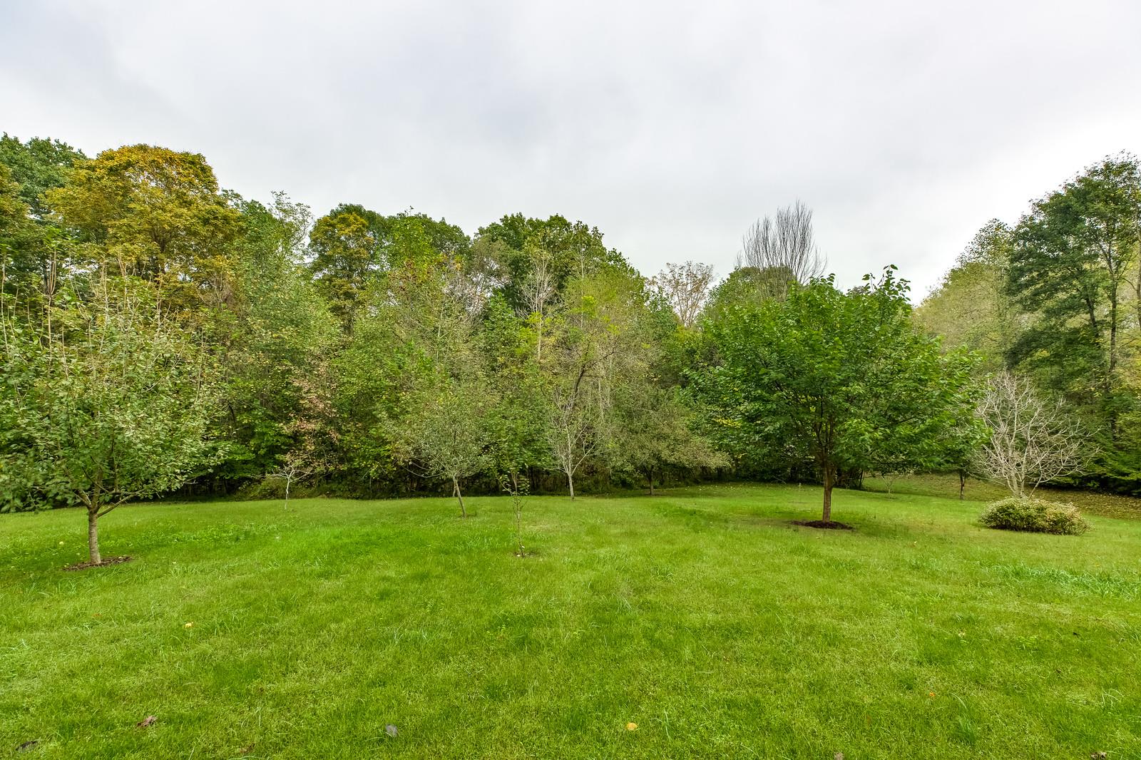 1529 Rapids Road Portland, TN 37148 - Photo 3 of 30 a view of yard with grass and trees