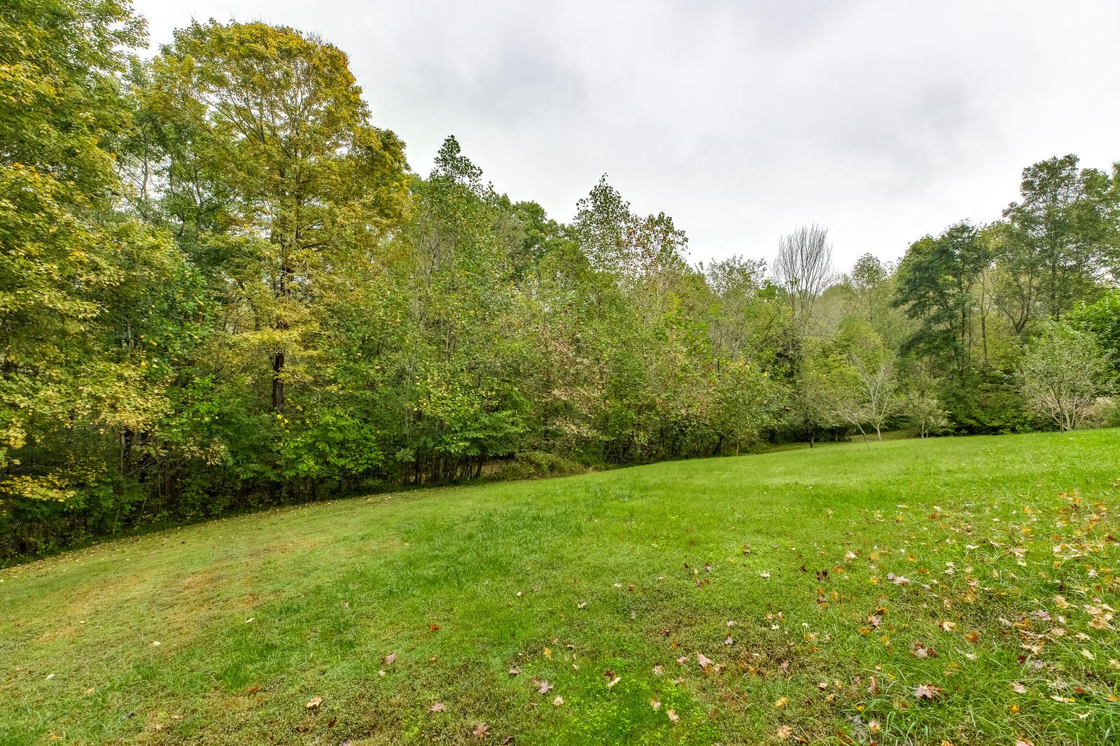 1529 Rapids Road Portland, TN 37148 - Photo 4 of 30 a view of a field with an outdoor space