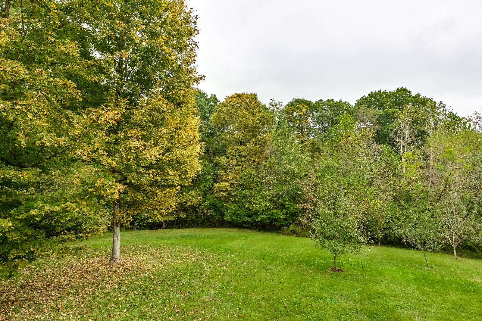1529 Rapids Road Portland, TN 37148 - Photo 6 of 30 a green field with lots of bushes