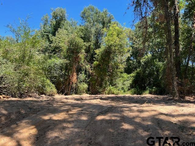 a view of outdoor space with trees