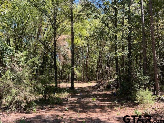 Tbd Lot 2 Tbd Pittsburg, TX 75686 - Photo 2 of 5 a view of a tree in a yard
