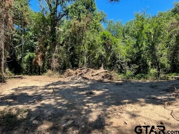 a view of a yard with trees