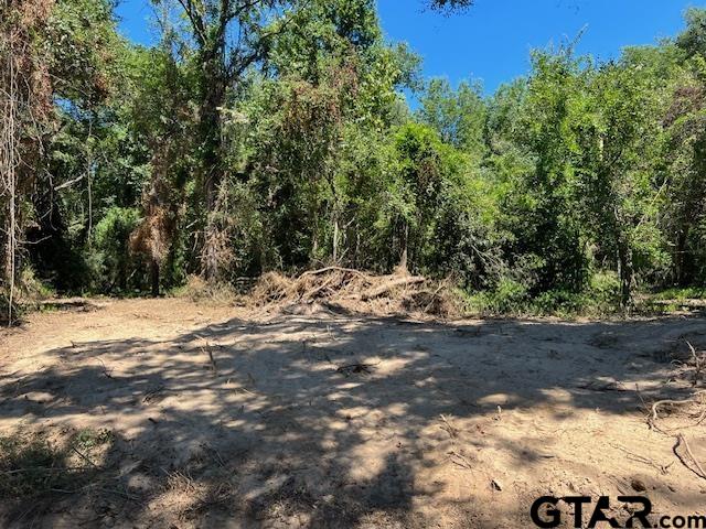 Tbd Lot 2 Tbd Pittsburg, TX 75686 - Photo 5 of 5 a view of a yard with trees