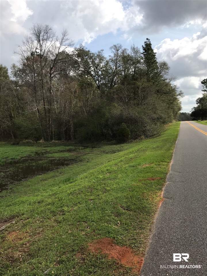 0 Howells Ferry Road Wilmer, AL 36587 - Photo 1 of 6