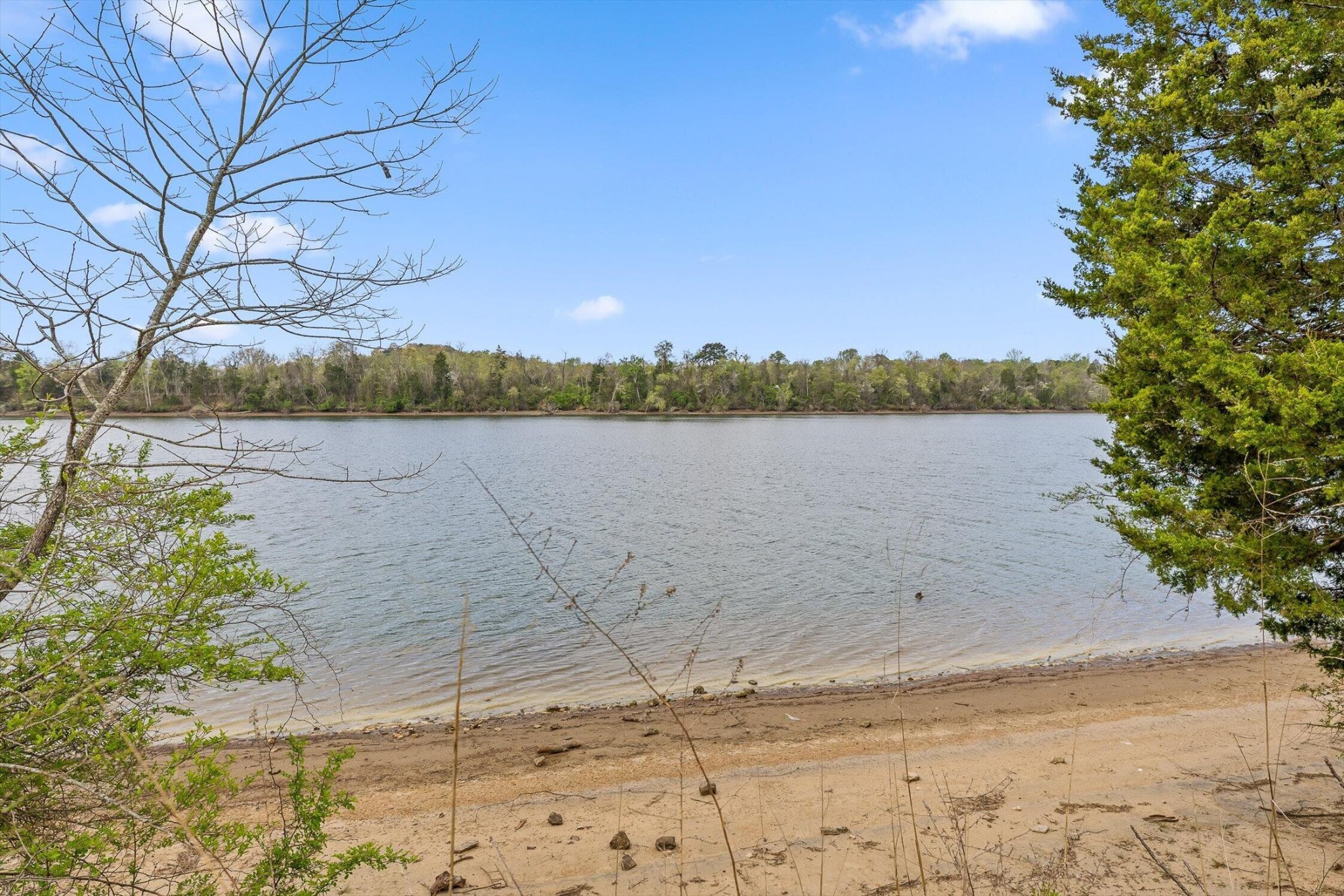 66 Espalier Drive Decatur, TN 37322 - Photo 14 of 38