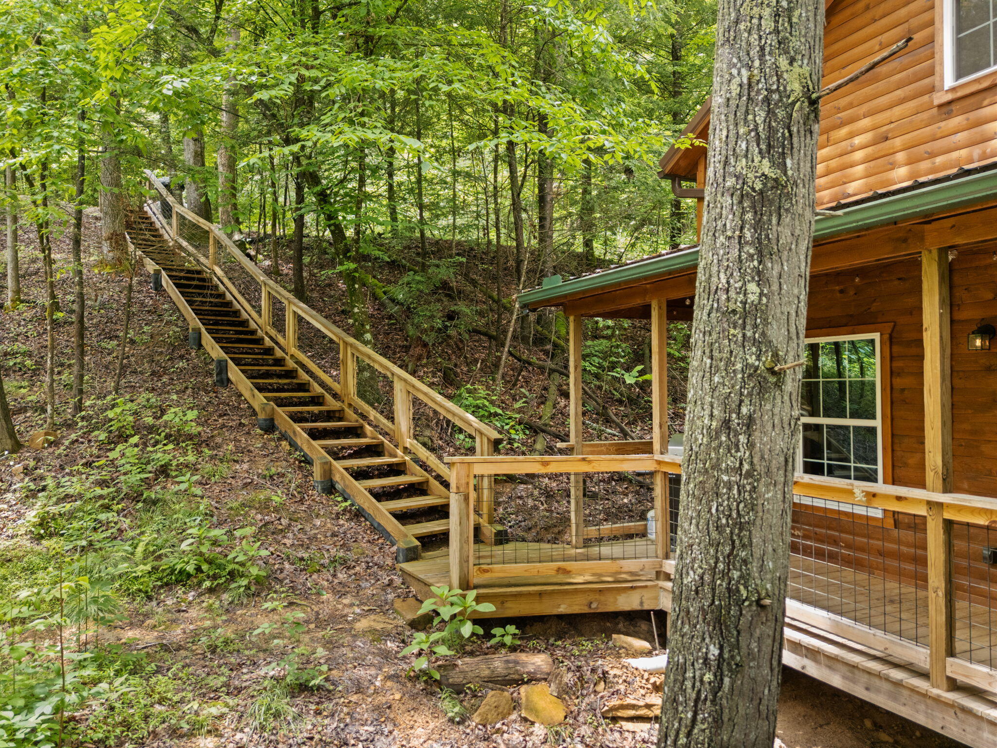 222 Muir Road Rogers, KY 41365 - Photo 40 of 41 67-web-or-mls-DJI_20250528133119_0075_D