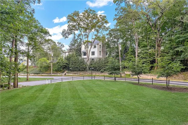 a view of a yard with a large trees