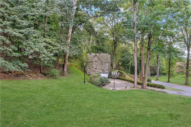 a view of a backyard with couches and large trees