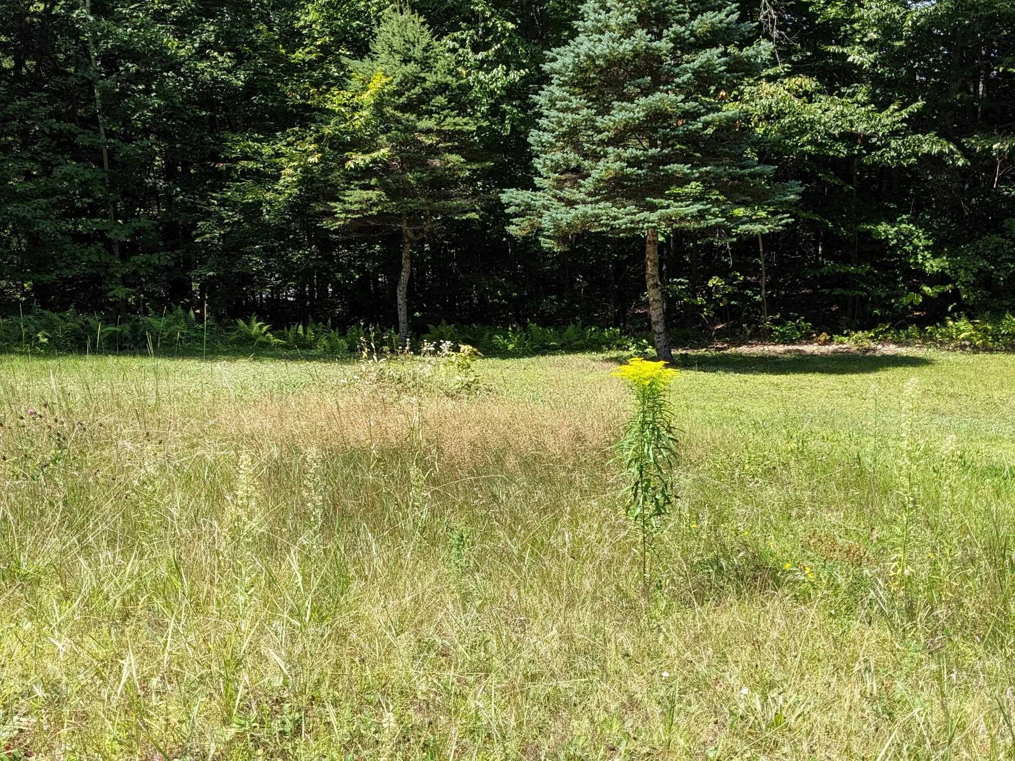 746 Charlestown Road Acworth, NH 03601 - Photo 49 of 54 Gallery Image 49