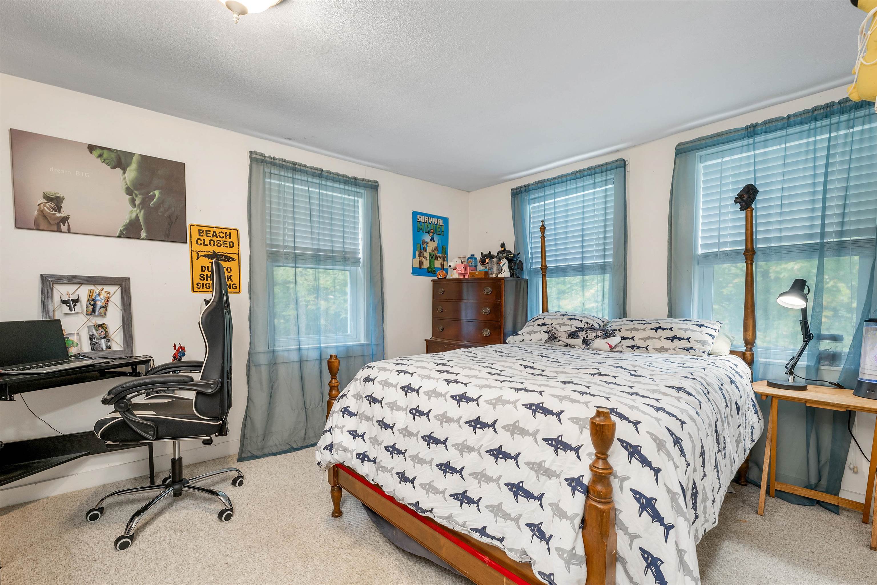 278 Mountain Road Dalton, NH 03598 - Photo 47 of 60 Gallery Image 47