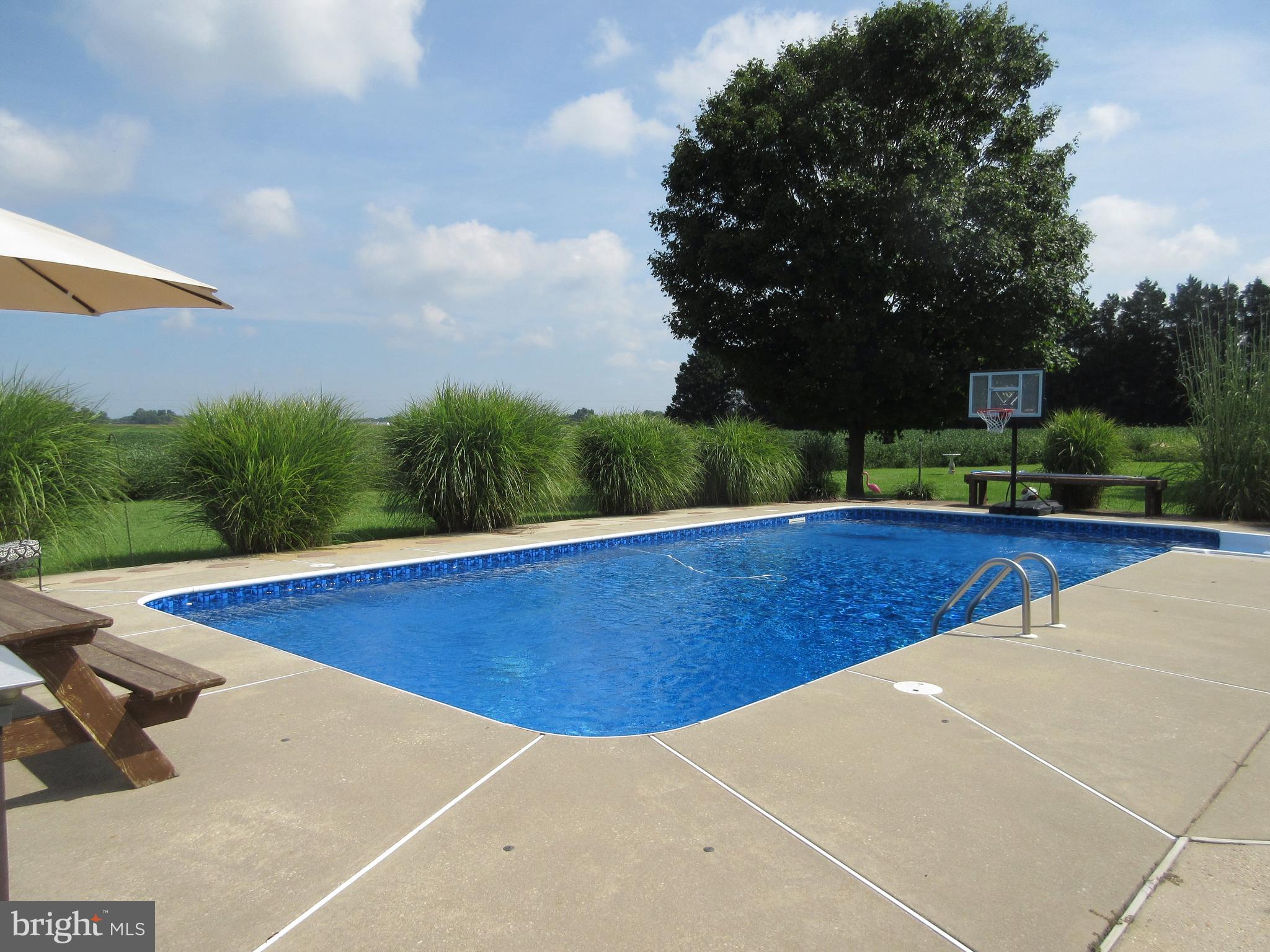 3334 Choptank Road Preston, MD 21655 - Photo 2 of 51 Nice Pool shot with beautiful Fountain Grasses.