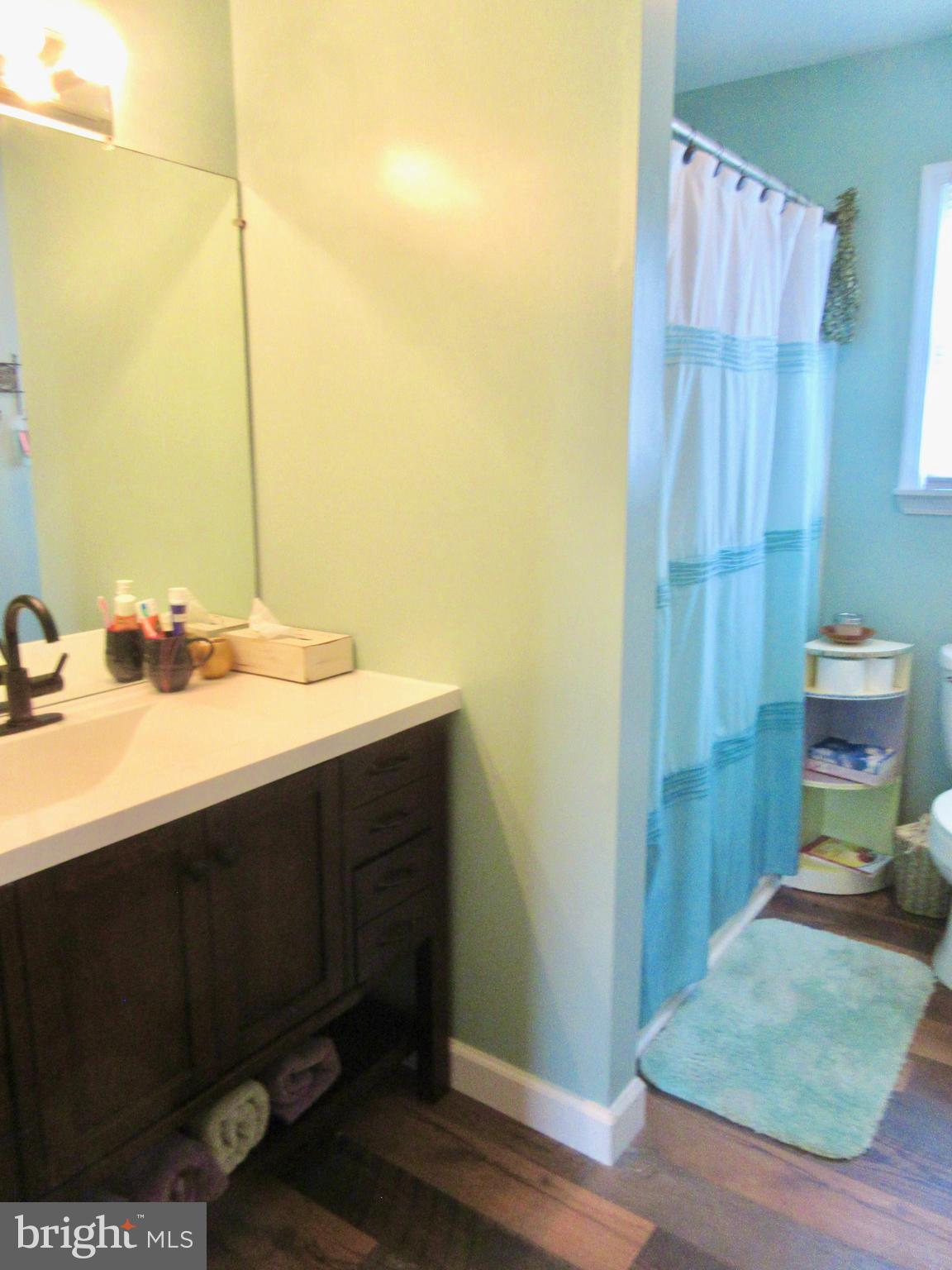 3334 Choptank Road Preston, MD 21655 - Photo 20 of 51 Upper Hall Updated Full Tub and Shower Bath