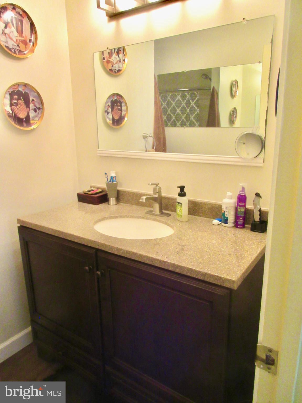 3334 Choptank Road Preston, MD 21655 - Photo 25 of 51 Updated Master Bath.