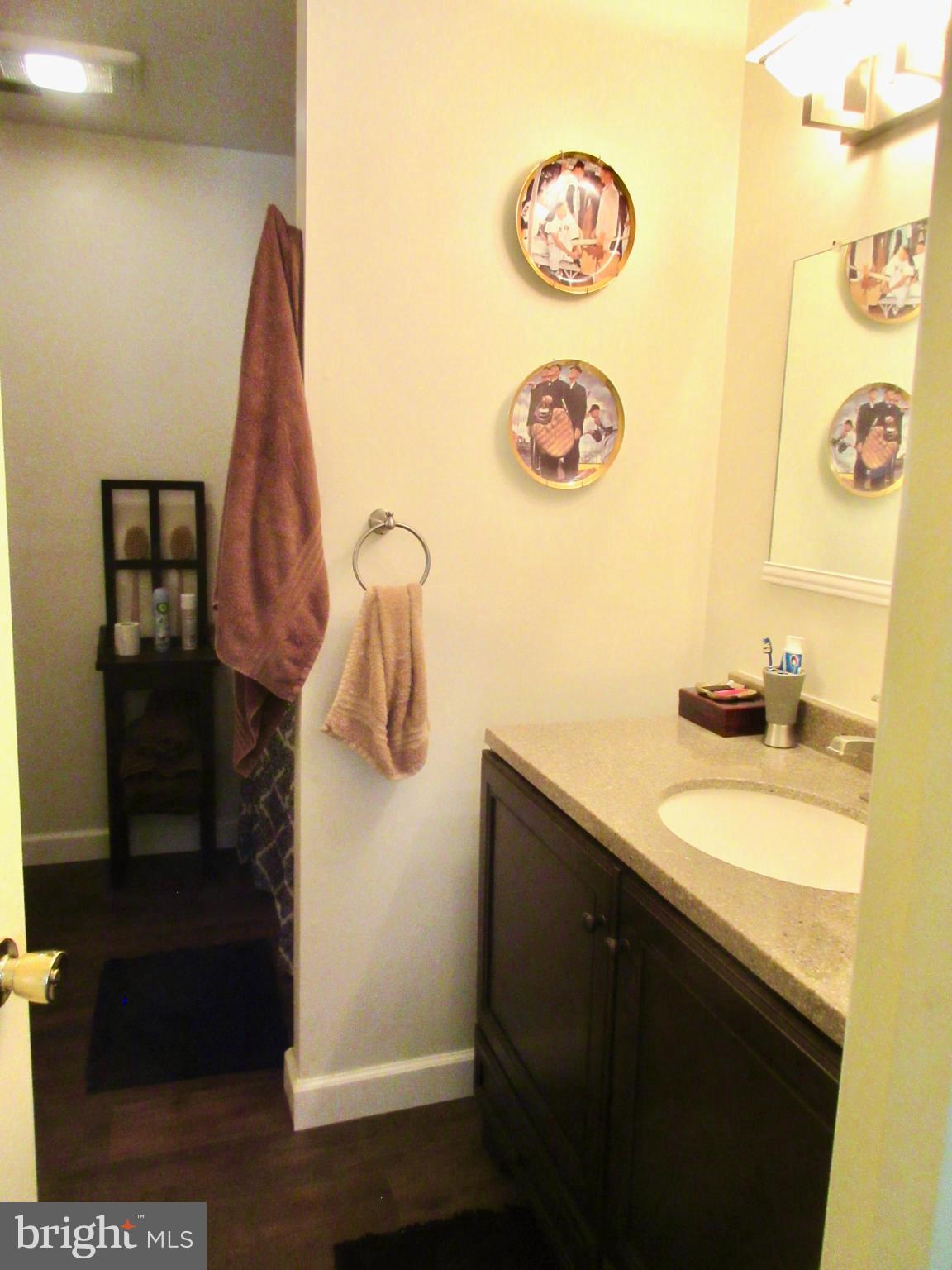 3334 Choptank Road Preston, MD 21655 - Photo 26 of 51 Another view of the Master Bath