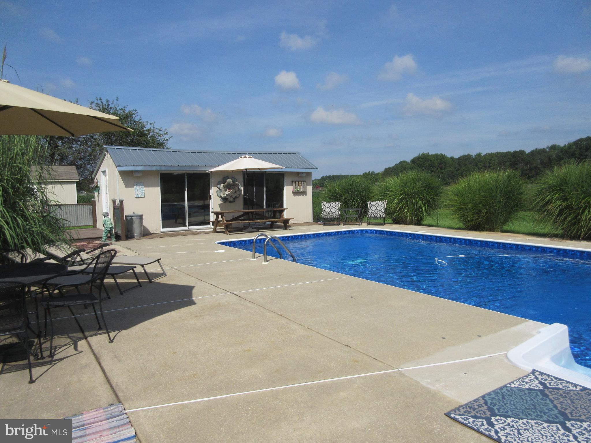 3334 Choptank Road Preston, MD 21655 - Photo 28 of 51 Fabulous Pool Cabana, Large patio surround.