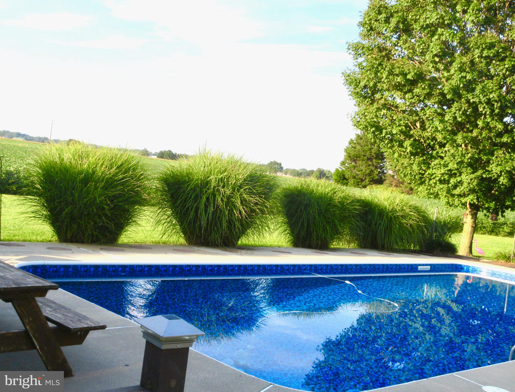 3334 Choptank Road Preston, MD 21655 - Photo 35 of 51 Another pool view.
