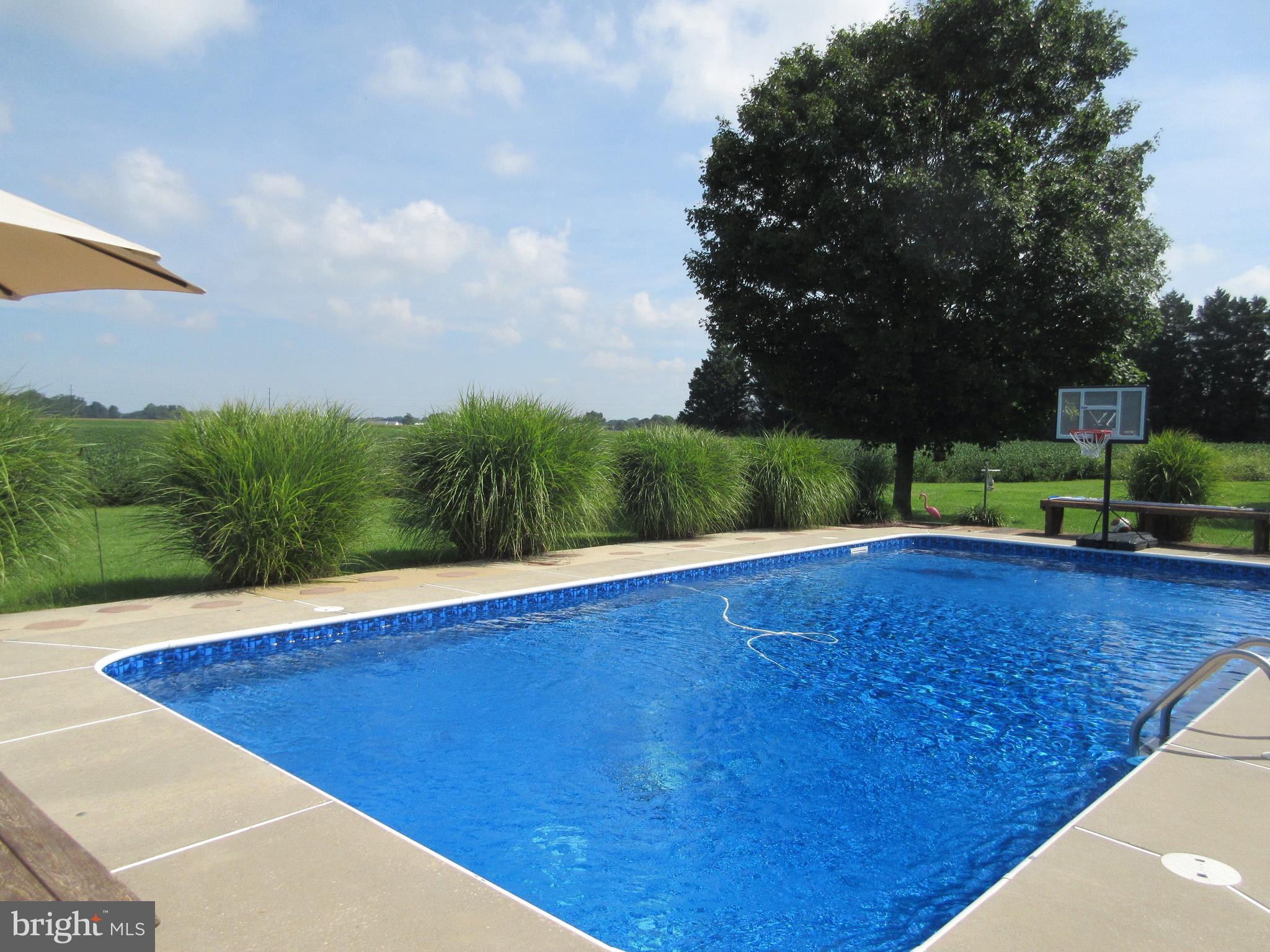 3334 Choptank Road Preston, MD 21655 - Photo 36 of 51 Another beautiful Pool and country view.