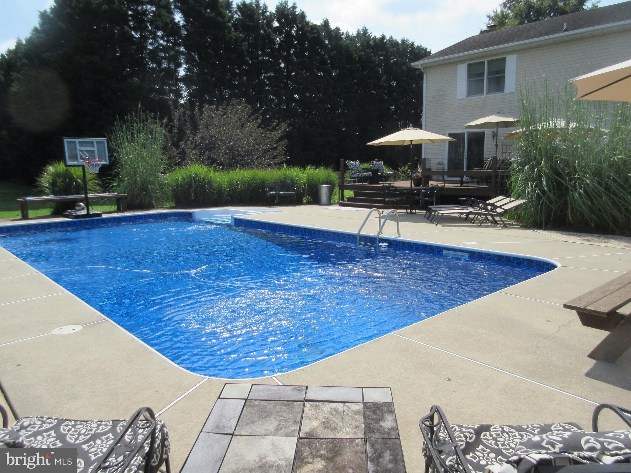 3334 Choptank Road Preston, MD 21655 - Photo 40 of 51 More pool views