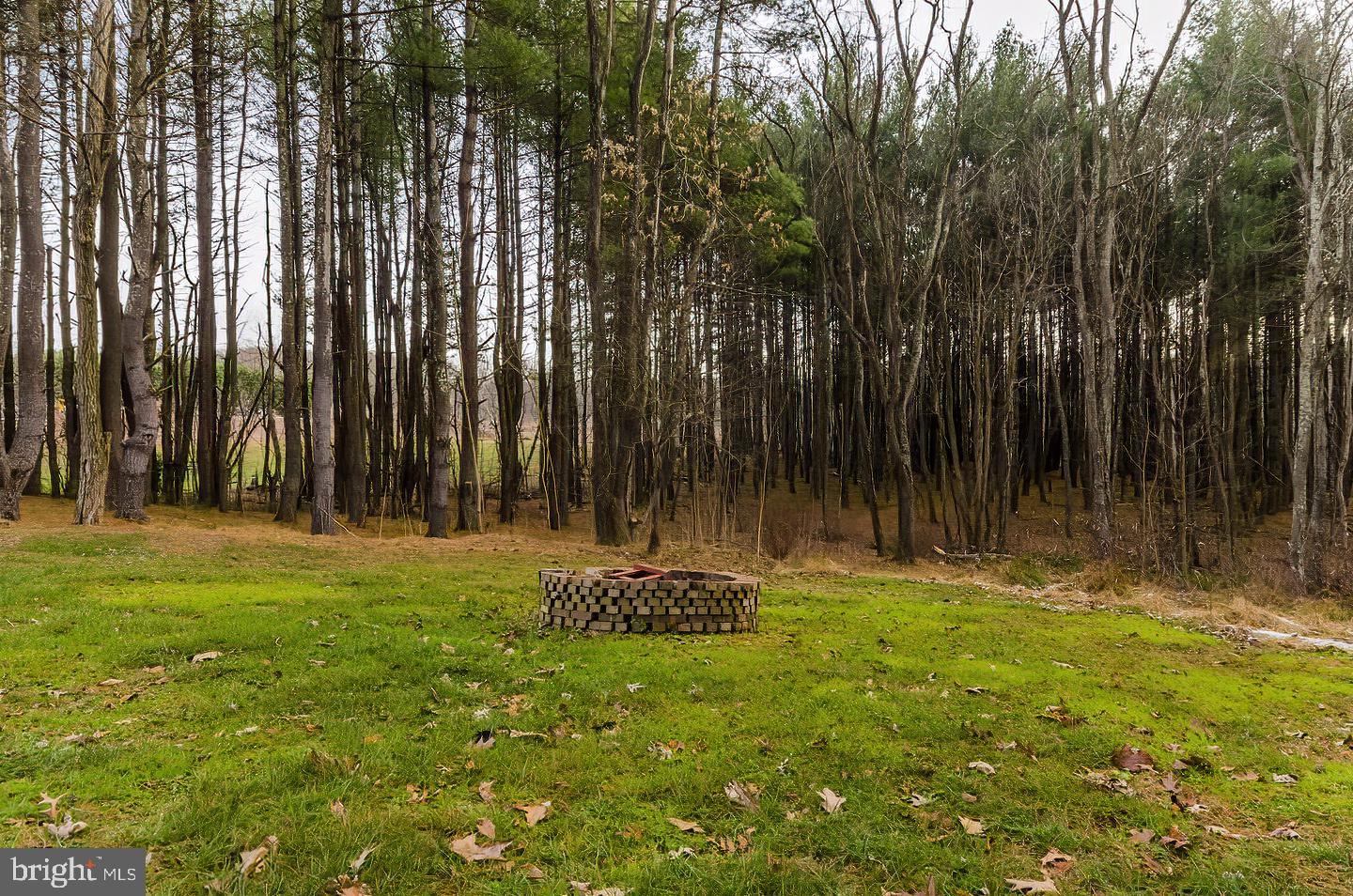 1371 Hollow Road Gore, VA 22637 - Photo 7 of 78 Gallery Image 7