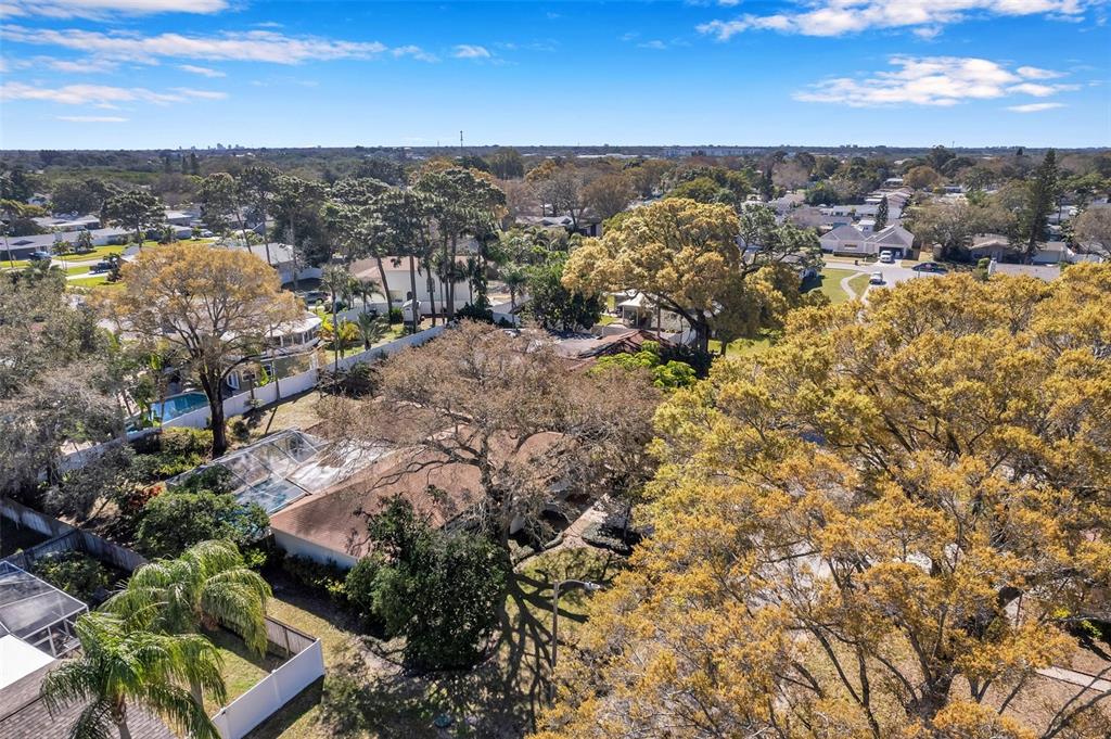 8789 Maplewood Road Seminole, FL 33777 - Photo 51 of 73