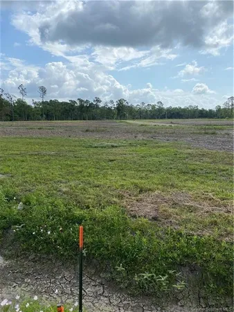 $300,000 | 0 Oak Lane, Vinton, LA 70668