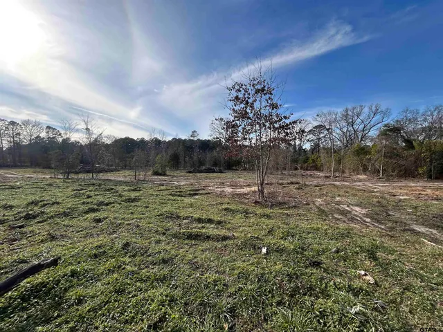 $82,000 | 9219 North County Road 152, Overton, TX 75684