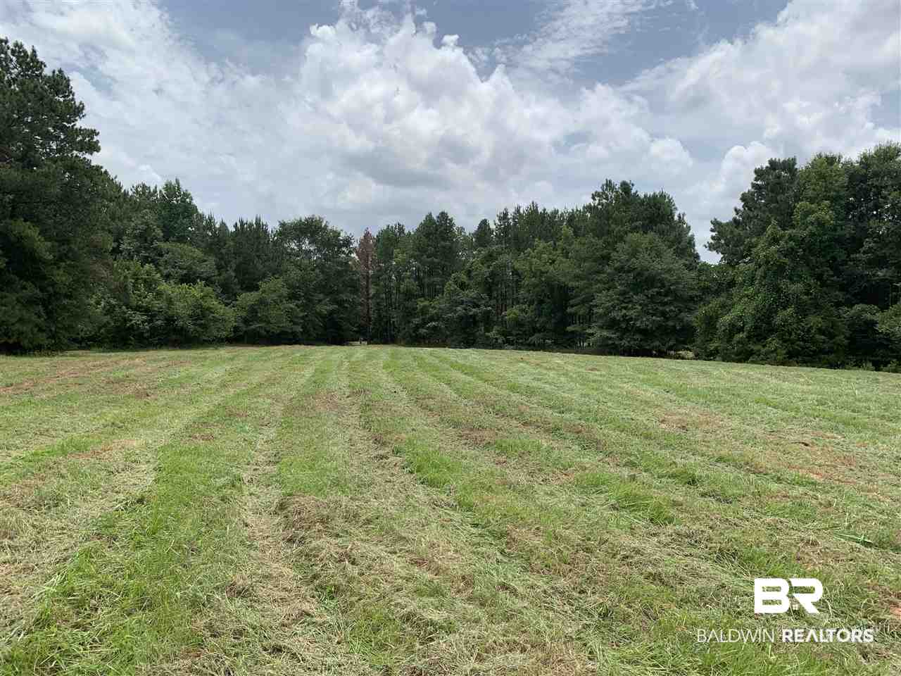 1178 Dry Lake Road Luverne, AL 36049 - Photo 5 of 50