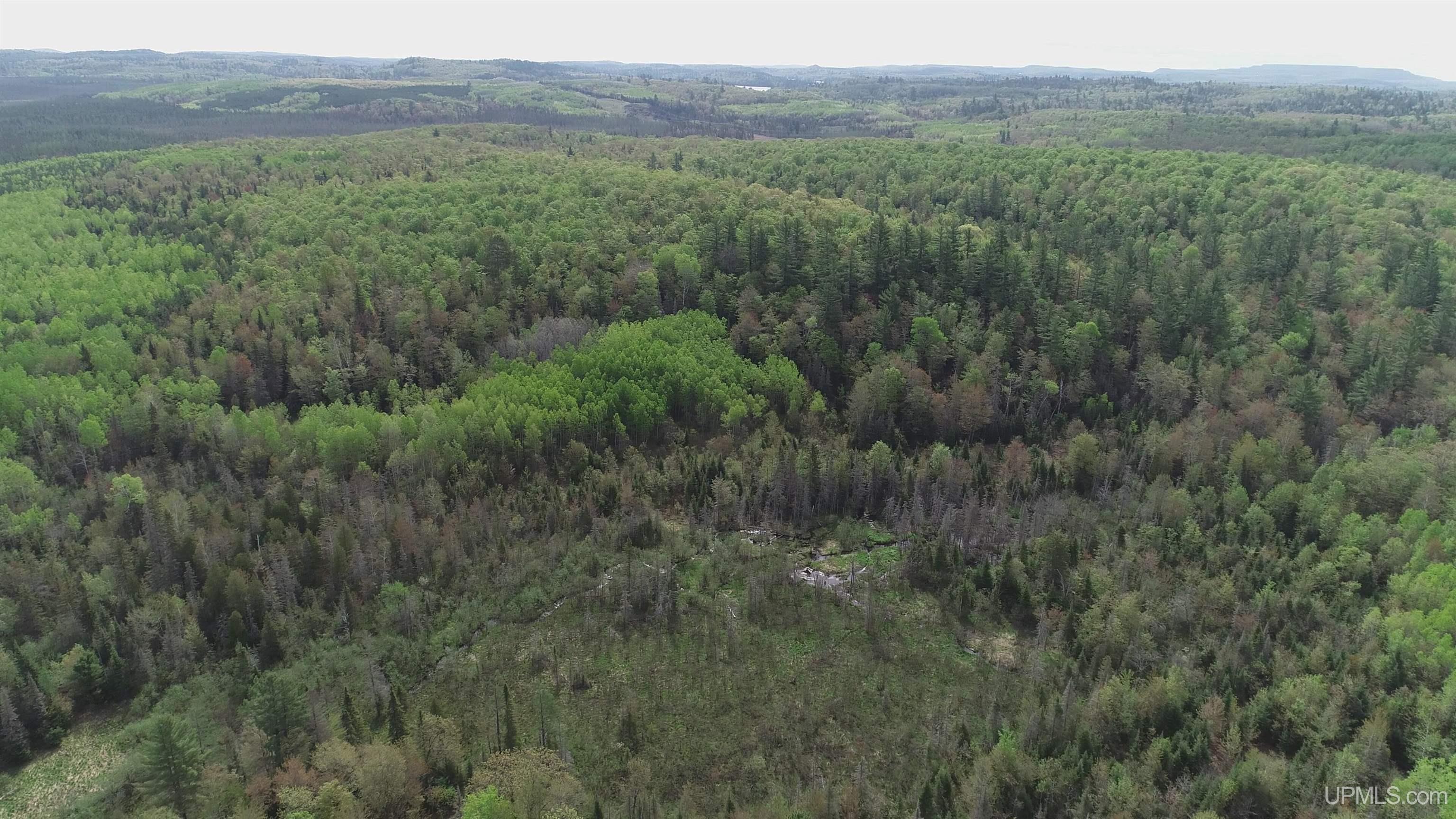 280-acres County Road CCN Road Negaunee, MI 49866 - Photo 14 of 48