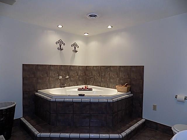 340 Thompson Run Road Pittsburgh, PA 15237 - Photo 19 of 23 The Luxurious Lower Level Bathroom is located off of the Family Room and has Magnificent Jacuzzi-Tub and oversized shower.