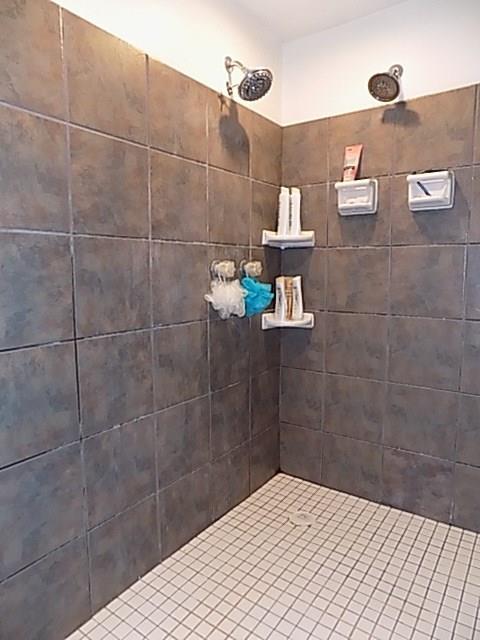 340 Thompson Run Road Pittsburgh, PA 15237 - Photo 20 of 23 Spa Shower