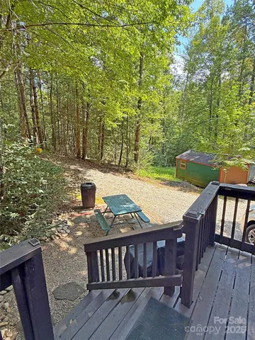 a view of a yard with plants and a trees