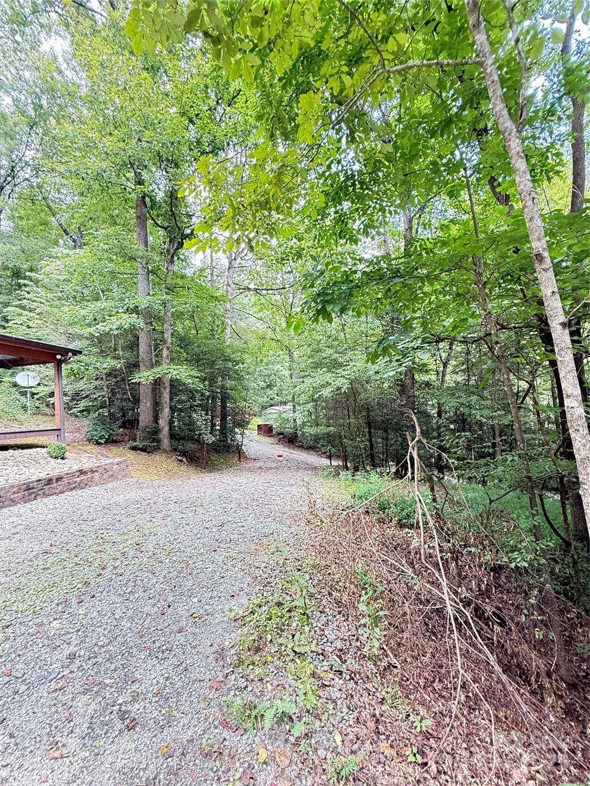 3430 Rose Creek Road Morganton, NC 28655 - Photo 46 of 48 a view of a yard with plants and a trees