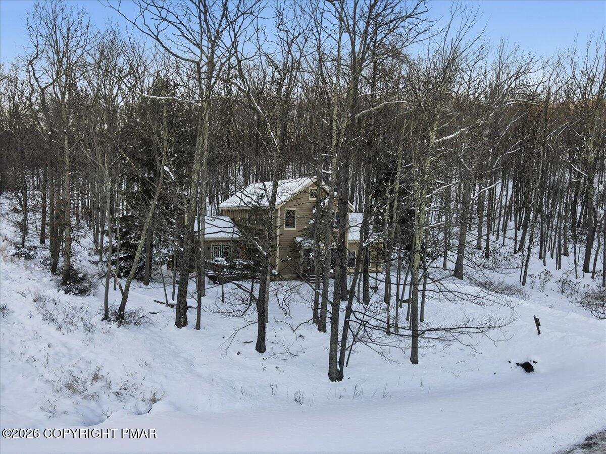 782 Lower Deer Valley Road Tannersville, PA 18372 - Photo 16 of 56 a view of a yard with a tree