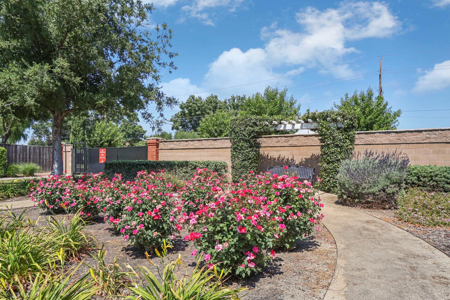 803 Riva Court Lodi, CA 95242 - Photo 36 of 37