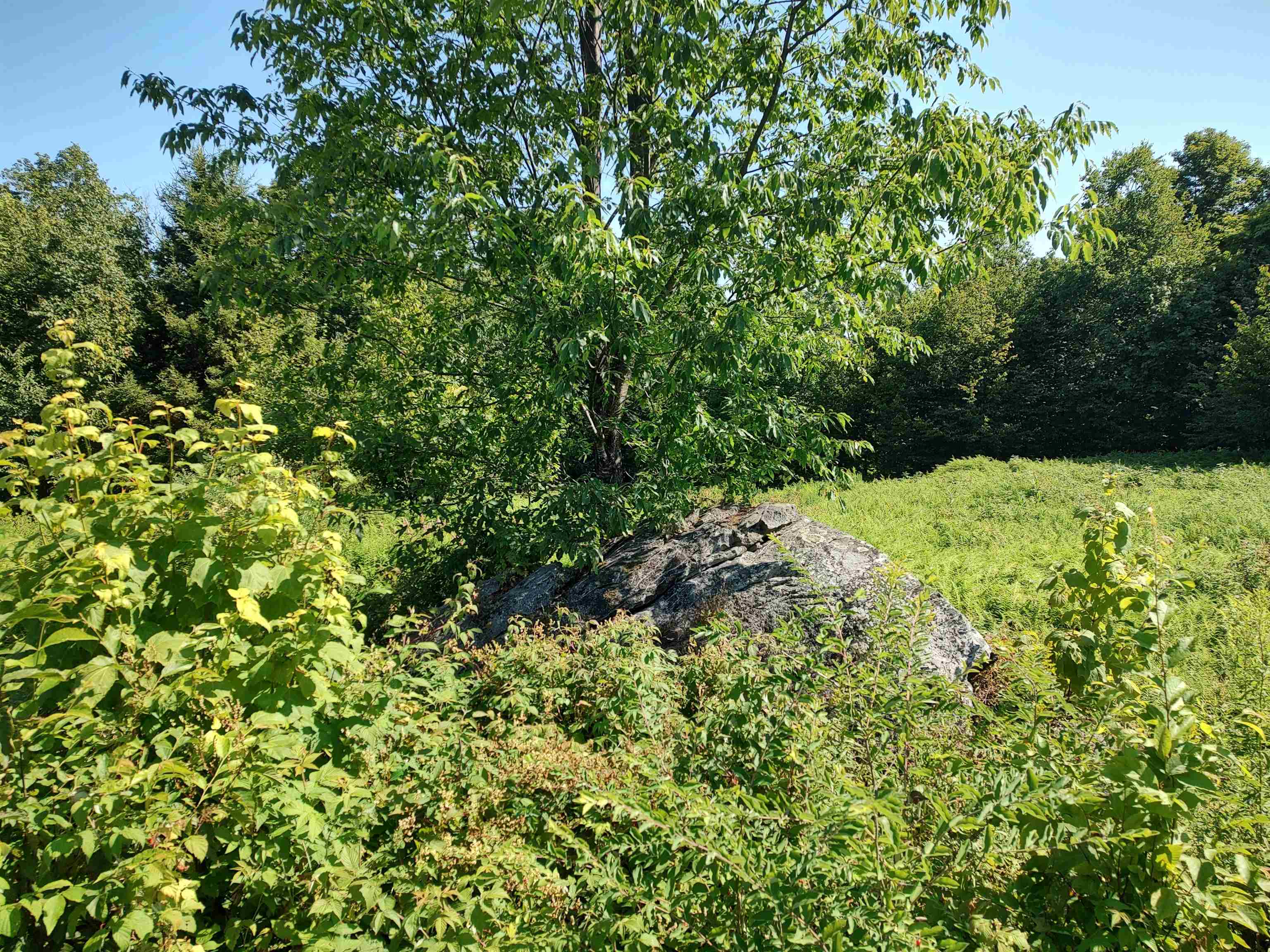 2501 Chelsea Mtn Road Randolph, VT 05061 - Photo 10 of 41 Gallery Image 10
