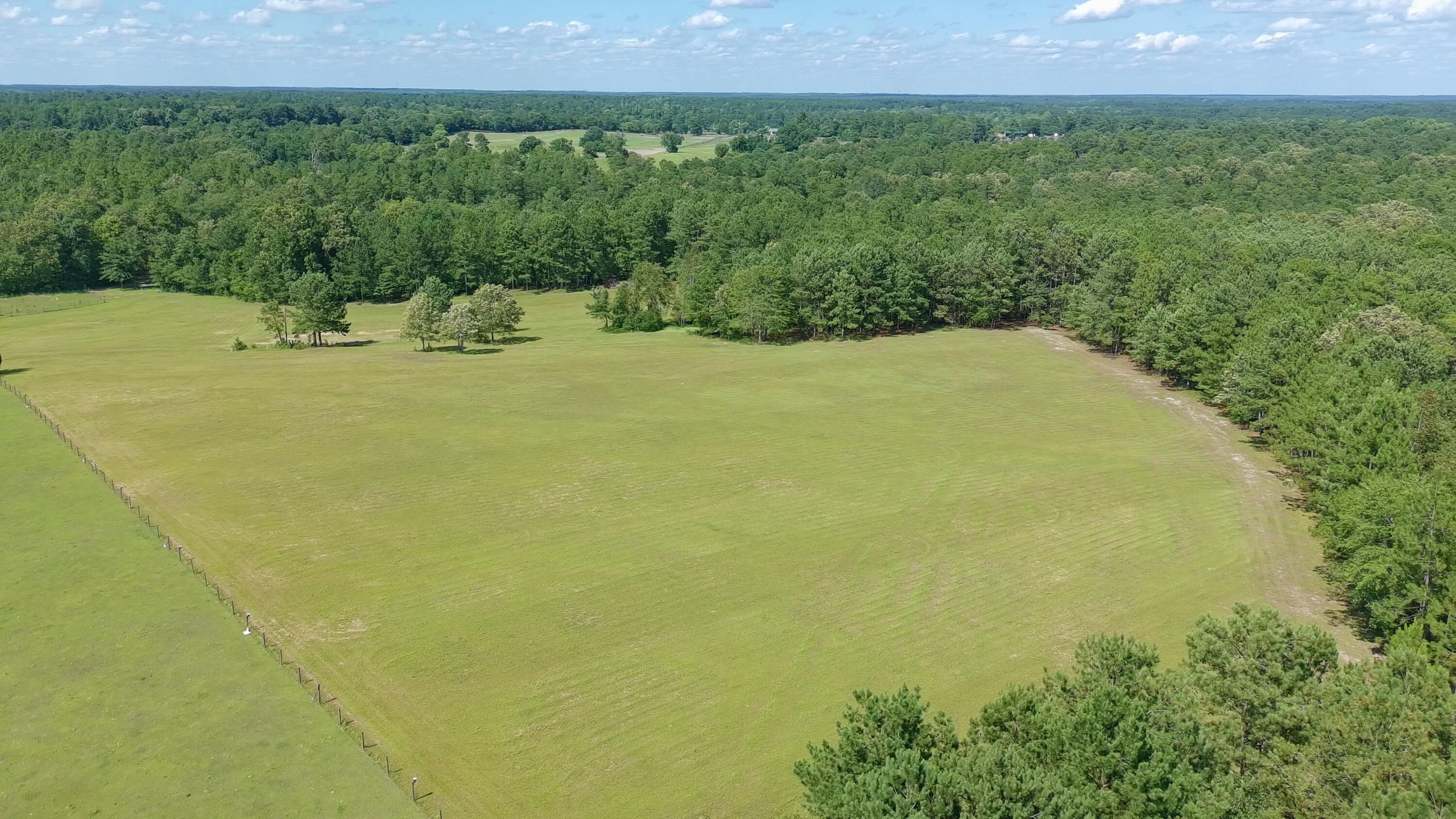 41-acres Whiskey Road Aiken, SC 29803 - Photo 7 of 44