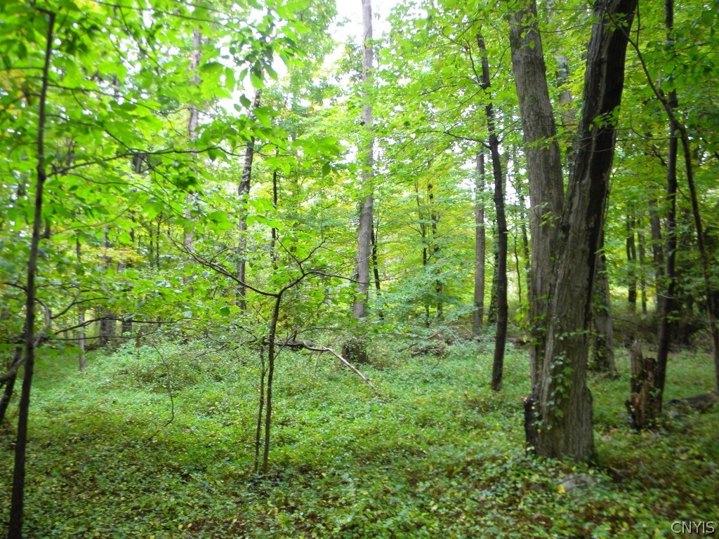 0 Reservoir Road Shokan, NY 12481 - Photo 1 of 1 Gallery Image 1