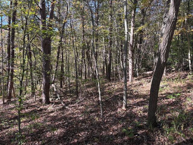 9847 Stage Road Logan, OH 43138 - Photo 3 of 10 IMG_3143