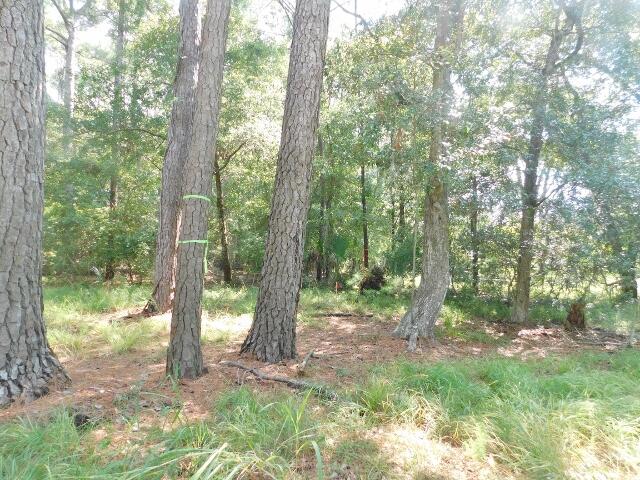 8662 Palmetto Road Edisto Island, SC 29438 - Photo 7 of 8 DSCN2931 (640x480)
