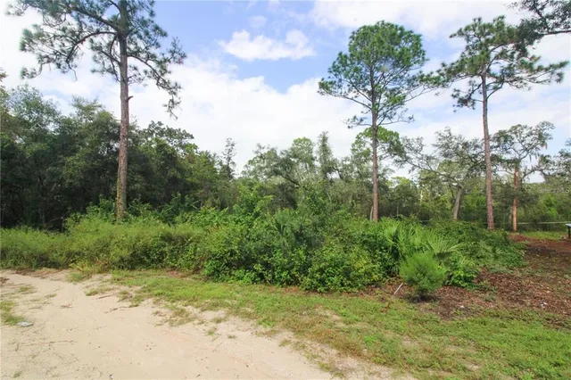 $19,900 | Tbd Southeast 10th Street, Silver Springs, FL 34488